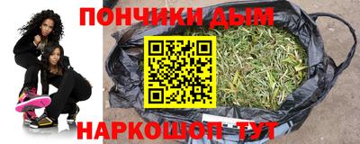 индика Можайск