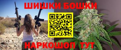 индика Можайск