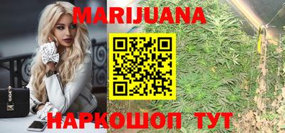 индика Можайск