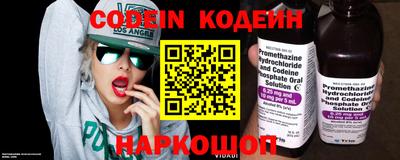 индика Можайск